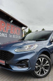 Ford Kuga IV-2