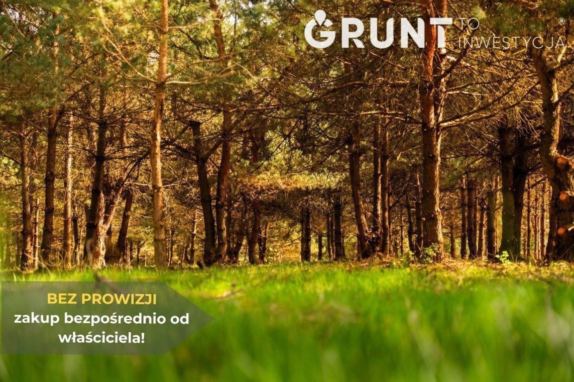 Niepowtarzalna oferta Premium - sprawdź! - Więcej