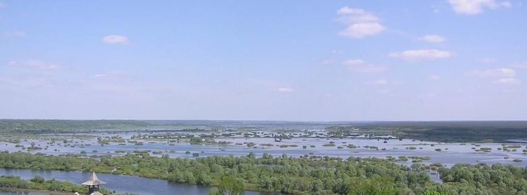 Ukraina.Nawozy,komposty,substancji organiczne.Odmiany torfu mszystego-1