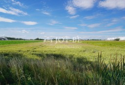 Działka przemysłowa Oleśnica, ul. Bolesława Krzywoustego