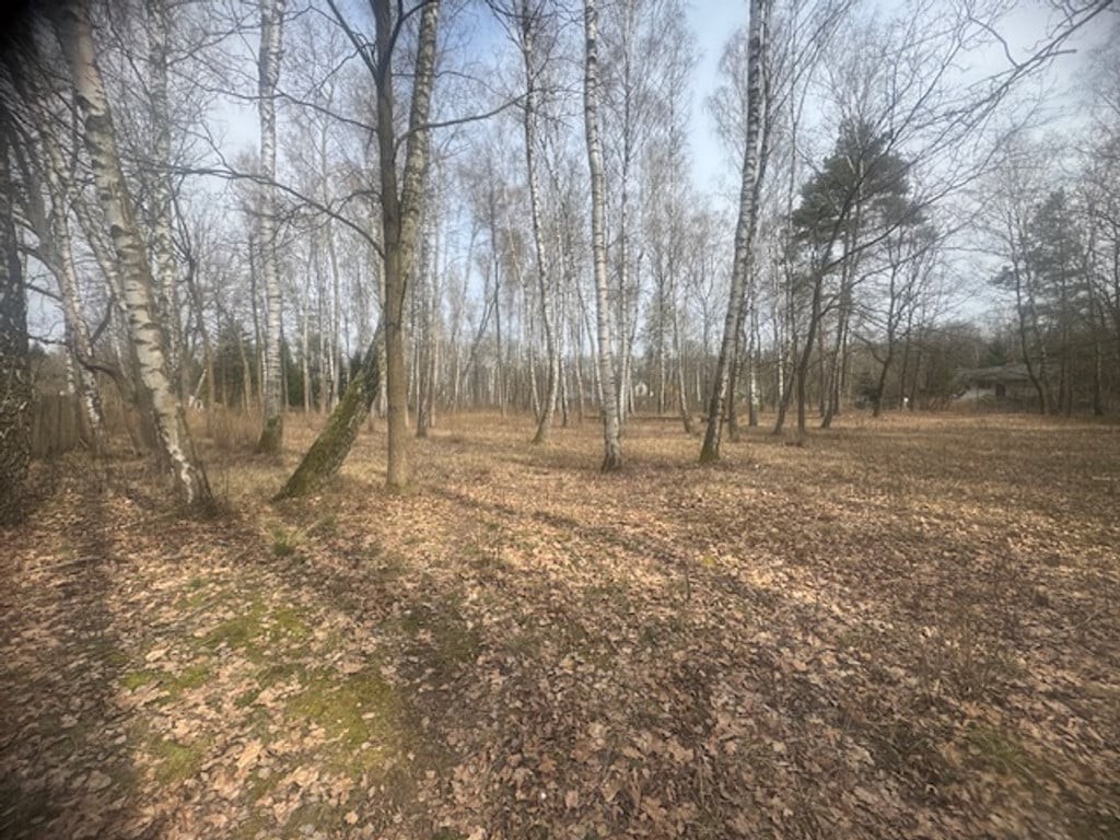 Piękna działka w otulinie drzew z MPZP - Widok 2