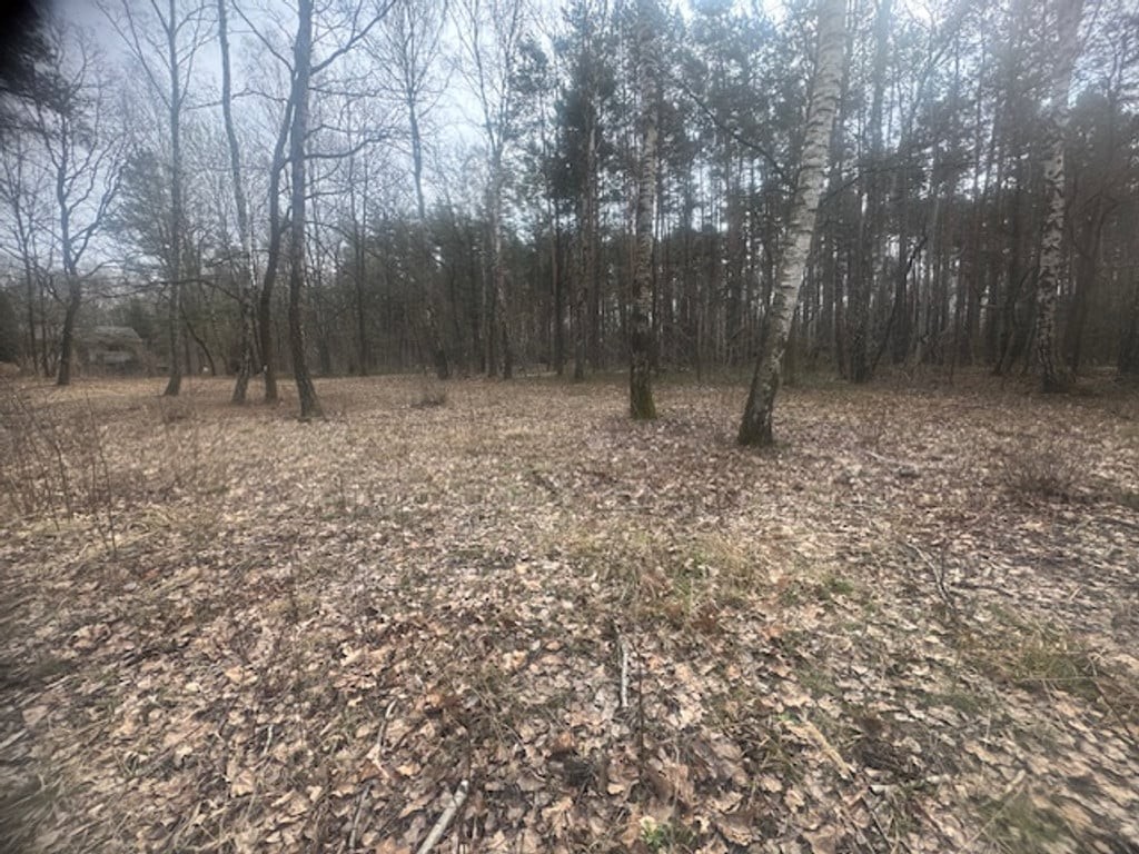 Piękna działka w otulinie drzew z MPZP - Widok 3