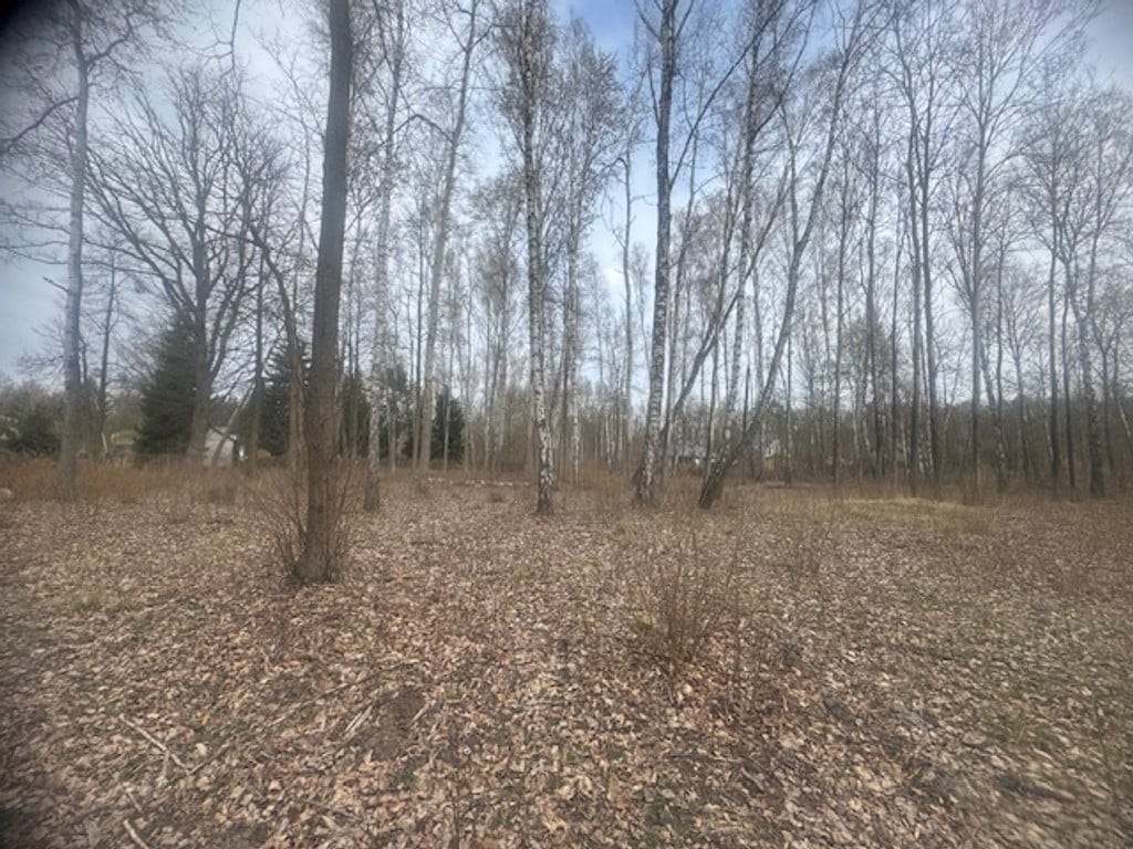 Piękna działka w otulinie drzew z MPZP - Widok 4
