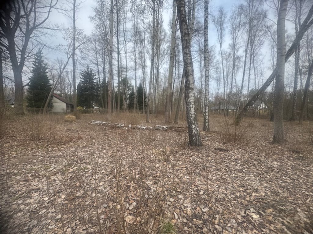Piękna działka w otulinie drzew z MPZP - Widok 6