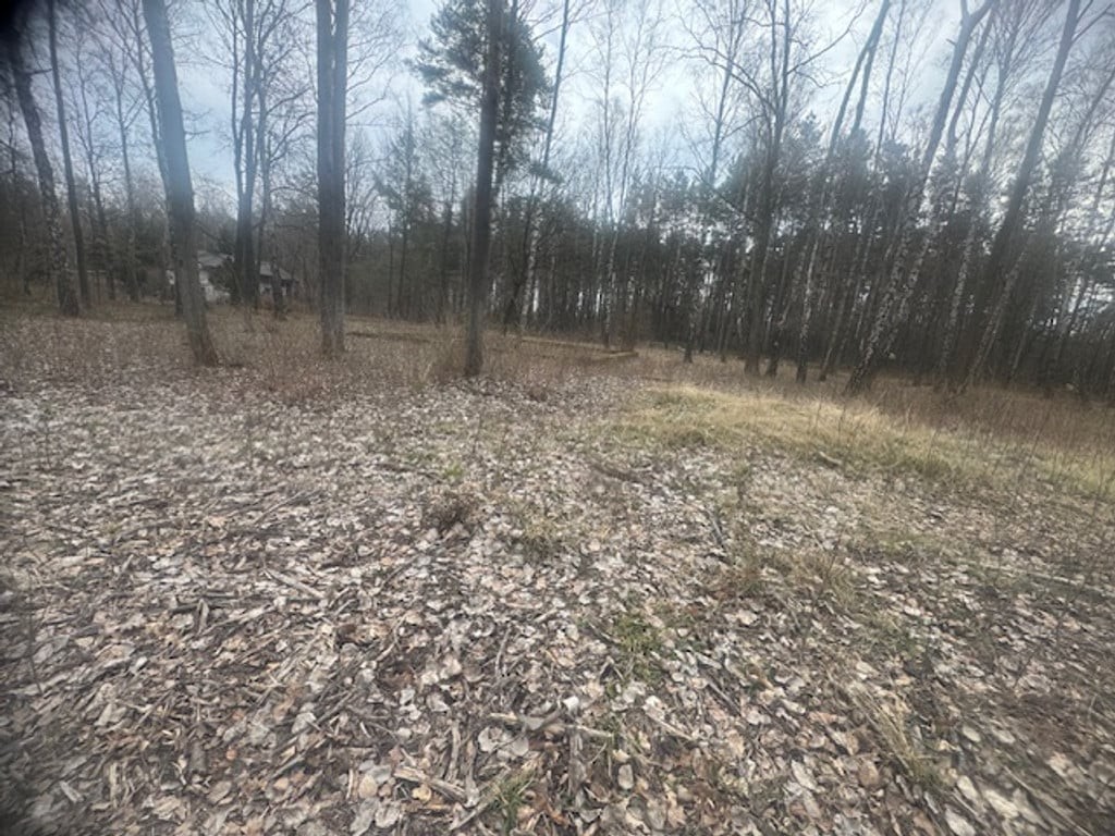 Piękna działka w otulinie drzew z MPZP - Więcej