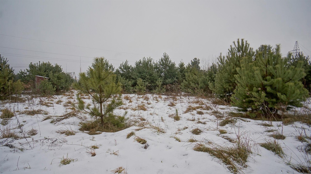 Działka na sprzedaż, 4343 m², Ełk Nowa Wieś Ełcka - Widok 4