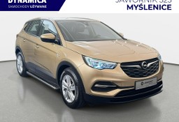 Opel Grandland X 1.2Turbo 130KM M6 2018/2019 r., salon PL, 118tys.km przebiegu