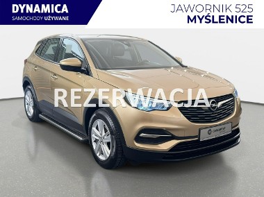 Opel Grandland X 1.2Turbo 130KM M6 2018/2019 r., salon PL, 118tys.km przebiegu-1