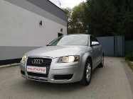 Audi A3 II (8P) 1.9 TDI 105KM Klima Elektryka Po wym rozrządu ALU 16Gwarancja