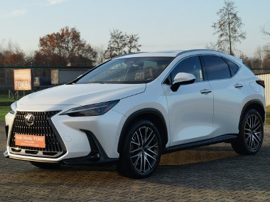 Lexus NX NX 14- Salon PL I Wszy wł.Omotenashi awd vat 23 % serwis w aso pełna opcj-1