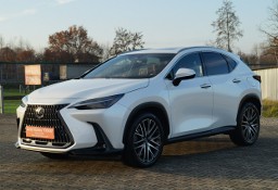 Lexus NX NX 14- Salon PL I Wszy wł.Omotenashi awd vat 23 % serwis w aso pełna opcj