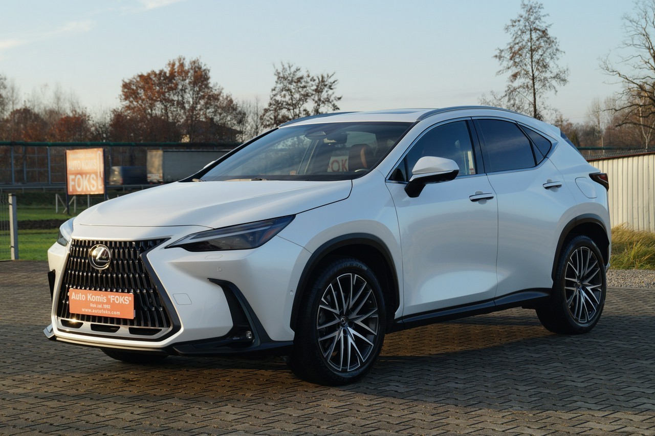 Lexus NX NX 14- Salon PL I Wszy wł.Omotenashi awd vat 23 % serwis w aso pełna opcj