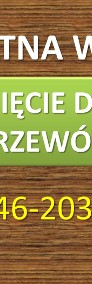 Przycinanie żywopłotu, cena Wrocław, tel. skrócenie. Żywopłoty pielęgnacja.-3