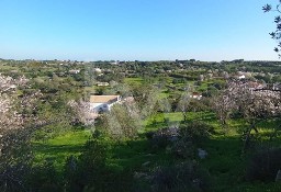 Dom Luz De Tavira E Santo Estêvão