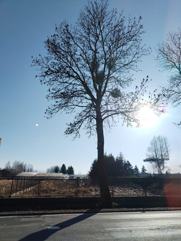 Działka budowlana 2 000 m²–Ksawerów | Spokojna, prestiżowa okolica pod Łodzią – pohled 2