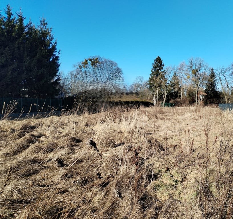 Działka budowlana 2 000 m²–Ksawerów | Spokojna, prestiżowa okolica pod Łodzią – pohled 6