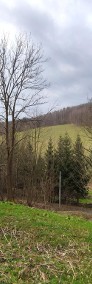 Widokowa działka w górach na końcu malowniczej wsi Konradów, lasy wokół-3