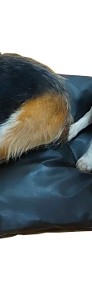 Legowisko dla psa kota EKOSKÓRA 115 x60 cm wypełnienie granulat styropianowy-4