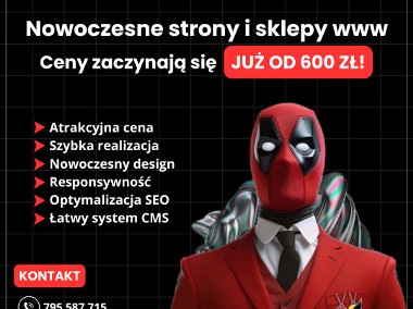 Tworzenie stron Strony internetowe Sklep www Pozycjonowanie Ecommerce-1