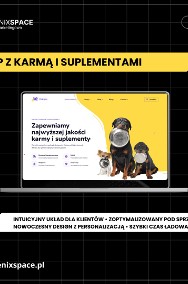 Tworzenie stron Strony internetowe Sklep www Pozycjonowanie Ecommerce-2