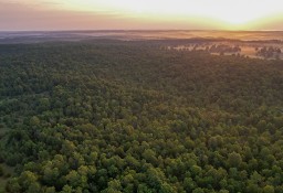 Działka inna Sturkie