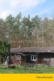 Mały domek drewniany w Borowinach k/Skierniewic-2