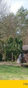 Mały domek drewniany w Borowinach k/Skierniewic-3