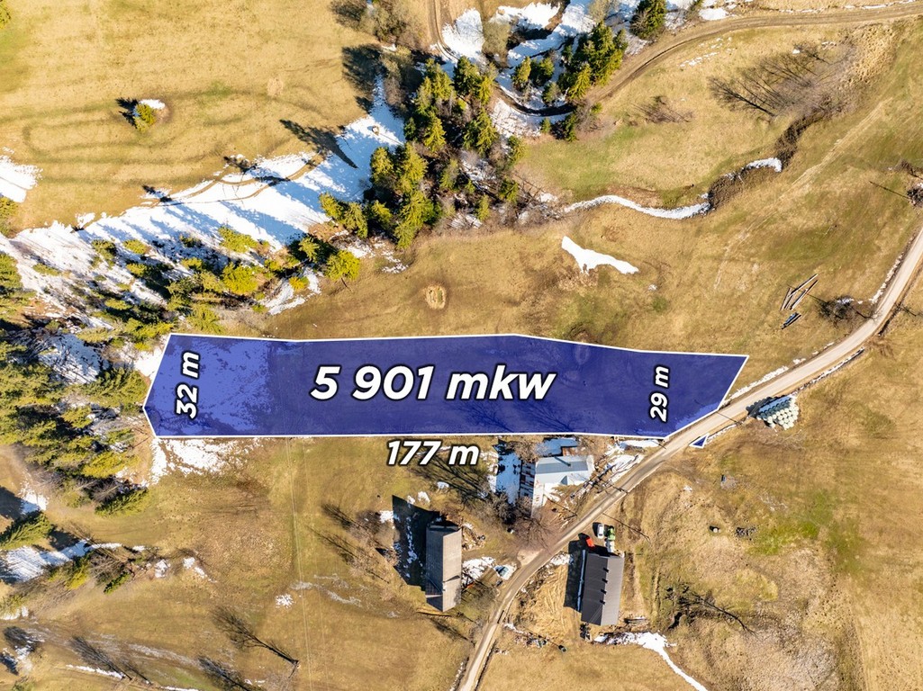 Sierockie - działka 5901 m² - WZtka 4 domy - Widok 3