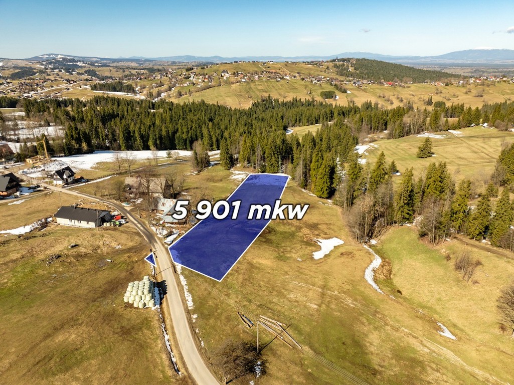 Sierockie - działka 5901 m² - WZtka 4 domy - Widok 5