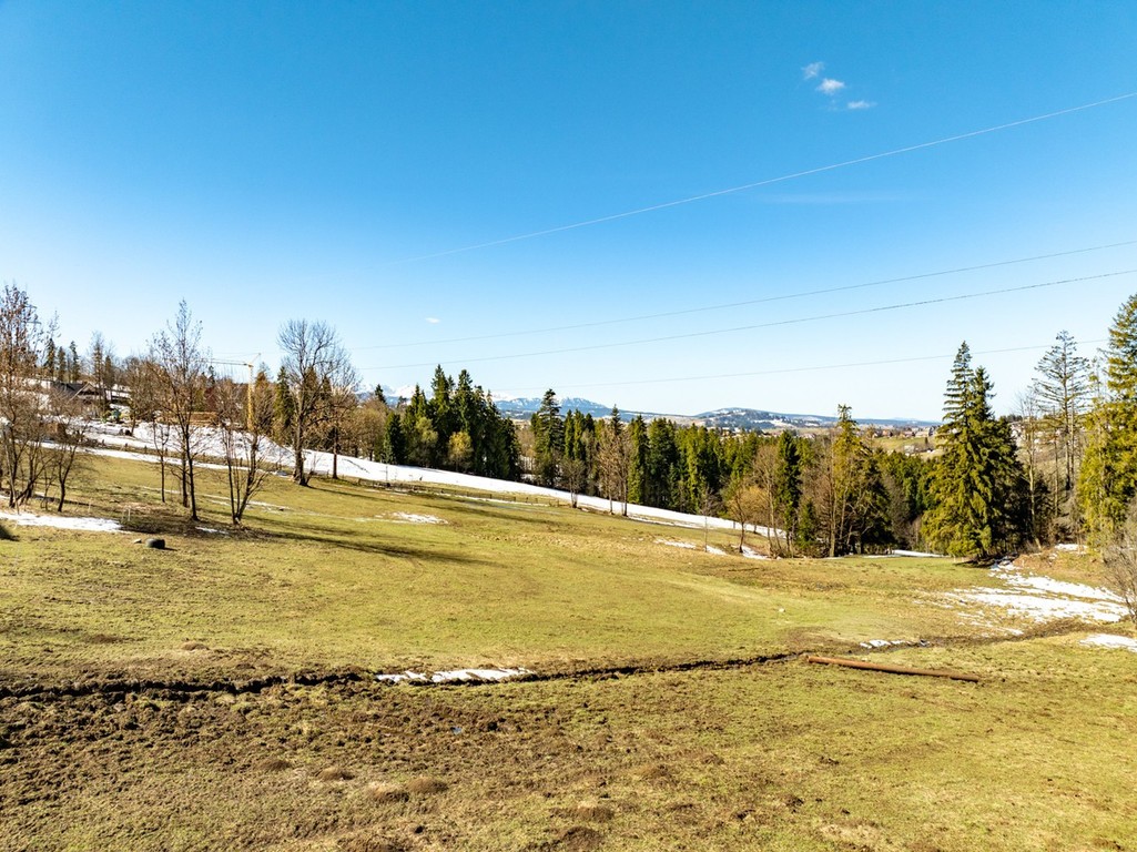 Sierockie - działka 5901 m² - WZtka 4 domy - Więcej