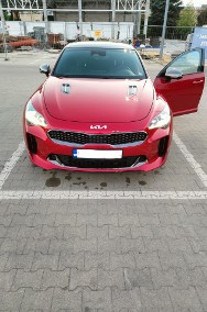 Kia stinger 3.3 gt2 AWD polift-2