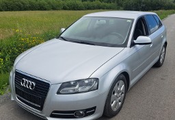 Audi A3 II (8P) Lift 1.6 tdi 5 drzwi