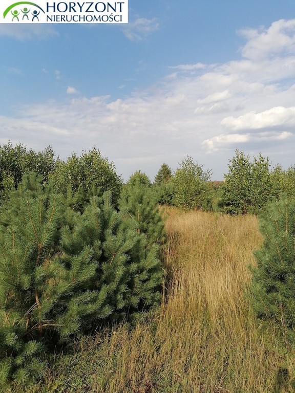 Koleczkowo - działki budowlane - Widok 2