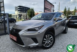Lexus NX NX 14- AWD |salonPL| BEZWYPAD. |2x ALU|kamera |grzane fotele|NAVI|Carplay