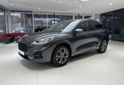 Ford Kuga IV ST-LINE, Kamera, Nawigacja, 1-wł, FV-23%, Gwarancja, DOSTAWA