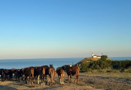 Dom Бургас/Burgas