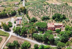 Lokal Metropolitan City Of Palermo