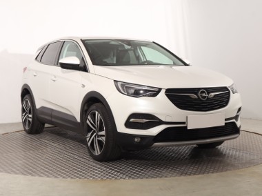 Opel , Salon Polska, Serwis ASO, Skóra, Navi, Klimatronic,-1