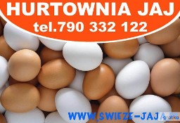 Sprzedaż Jajek,Jaj,Jaja-Masa Jajeczna-Poznań,Dopiewo,Buk,Opalenica
