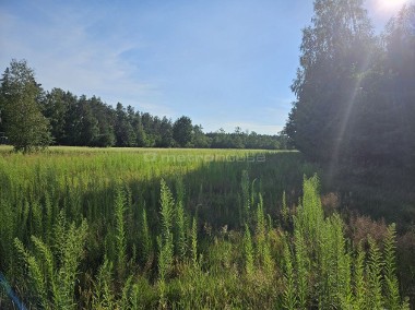 Urokliwa działka w miejscowości Młyniec  -1