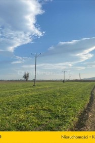 Działka rolna na sprzedaż w Czerńczycach-2