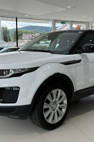 Land Rover Range Rover Evoque I Line Assist, Łopatki 4x4, 1-właściel, FV23 ,Gwarancja, dostawa-2