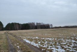 Działka siedliskowa Lubczyna
