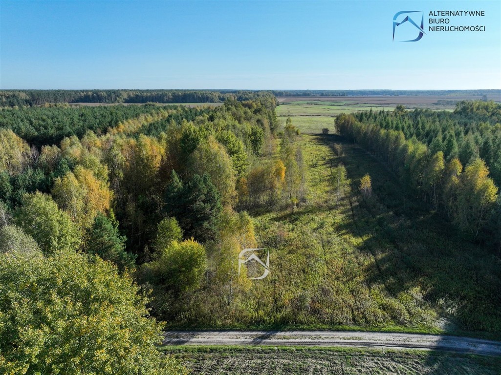 Działka inwestycyjna w otulinie lasu - Widok 2
