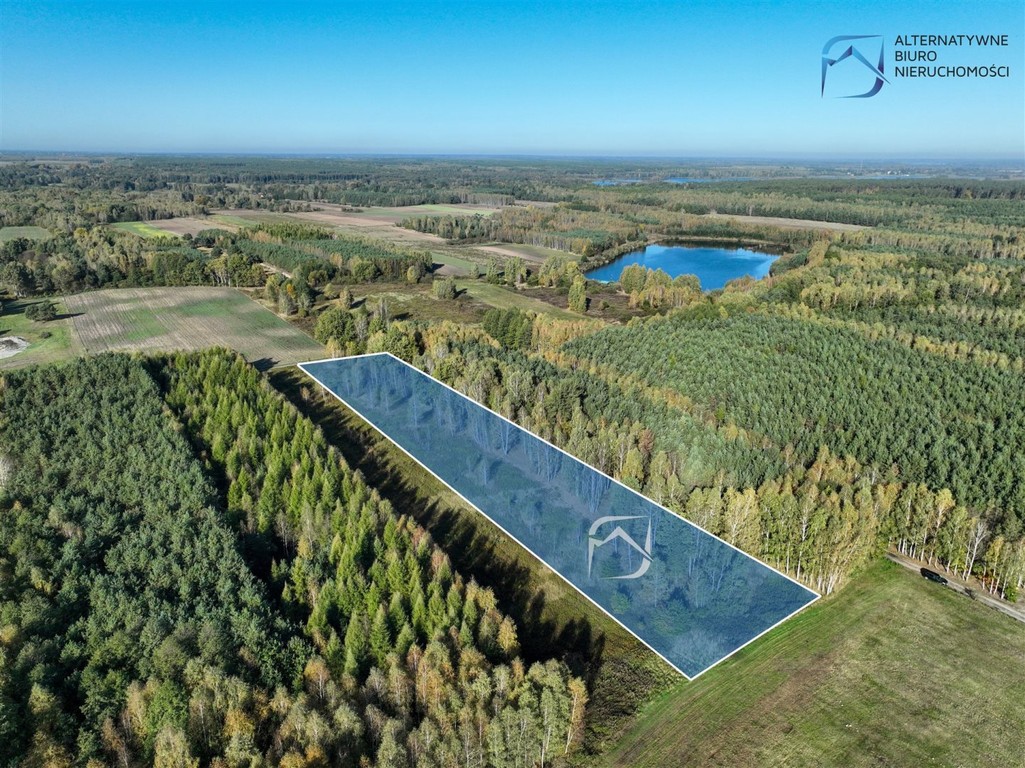 Działka inwestycyjna w otulinie lasu - Widok 3