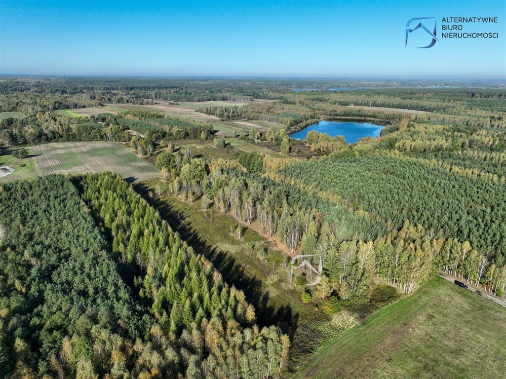 Działka inwestycyjna w otulinie lasu - Widok 4