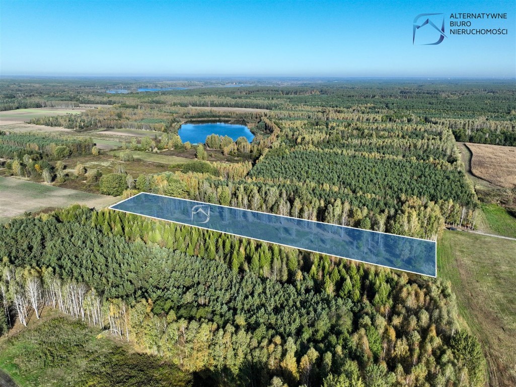 Działka inwestycyjna w otulinie lasu - Widok 5