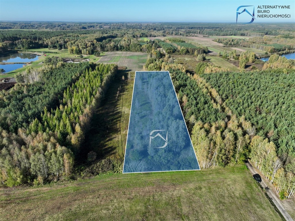 Działka inwestycyjna w otulinie lasu - Więcej