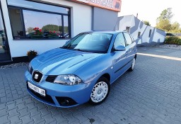 SEAT Ibiza IV