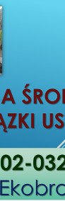 Ile kosztuje wykonanie raportu do Kobize, cena, sprawozdanie, obsługa firmy-3